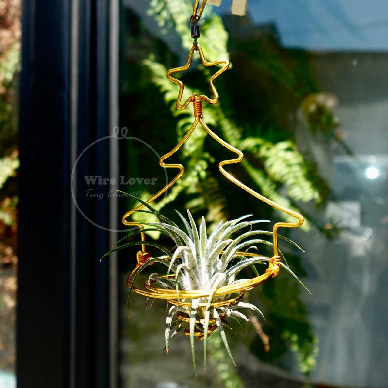 【工藝花架系列】Plant Structures