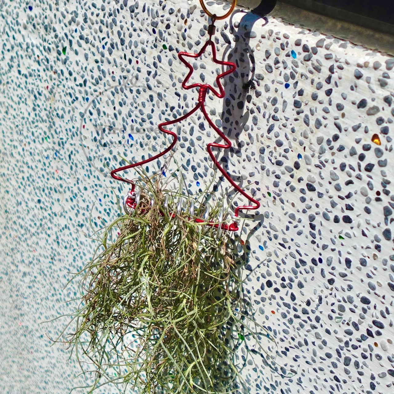 【植物花架】聖誕樹鋁線空鳳架 Christmas Tree Plant Stand
